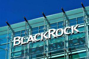 BlackRock CEO on BTC, Grayscale Competitor, USD 16.5bn Lost to Crypto Scams + More News 101