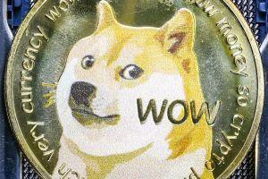 Dogecoin Blasts Into Top 10, And Leaves 101