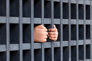 Japanese Crypto Tax Evader Hit with Year-long Jail Sentence 101