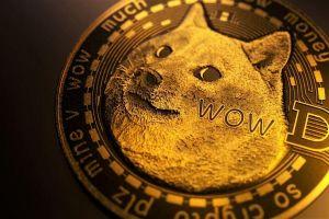 Dogecoin Flips XRP, Ethereum, and Bitcoin (On Google) 101