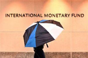 IMF Says Higher Rates Might Reduce Appetite for Risk. And Bitcoin? 101