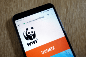 New WWF Project To Use NFTs to Save Animals 101