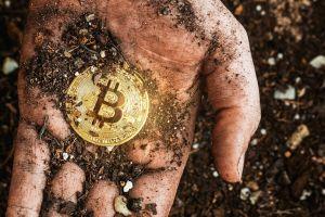 Moving to Green Bitcoin May be Moving To a Two-Tier Bitcoin 101