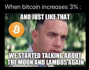 Bitcoin Noobing, Asset Teasing and 20 Crypto Jokes 101