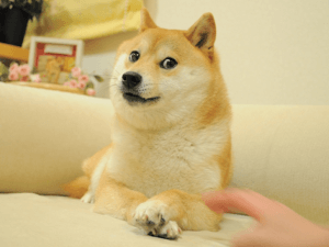 Doge Meme NFT To Be Sold in Fractions, Starting Today 101
